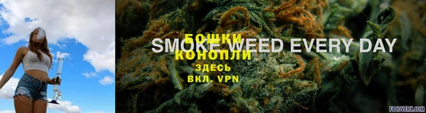 ALPHA PVP Каменногорск