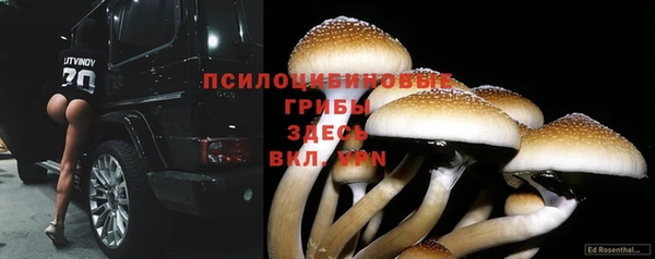 ALPHA PVP Каменногорск