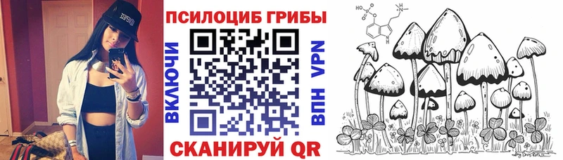 Псилоцибиновые грибы Cubensis  ОМГ ОМГ как войти  Ярцево  купить наркотики сайты 